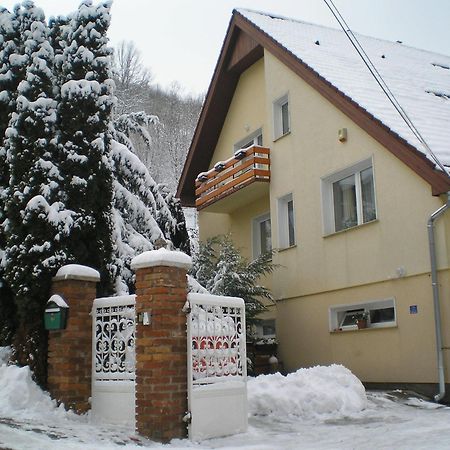 Villa Harmonia Panzio Visegrád Buitenkant foto